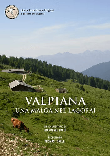 Copertina di Craj - domani